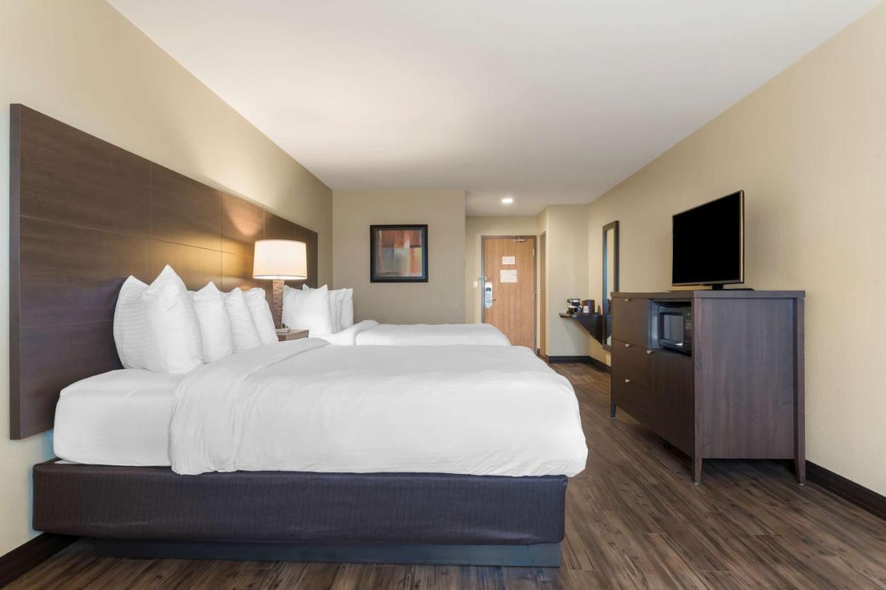Best Western Plus Saint John Hotel & Suites Eksteriør bilde