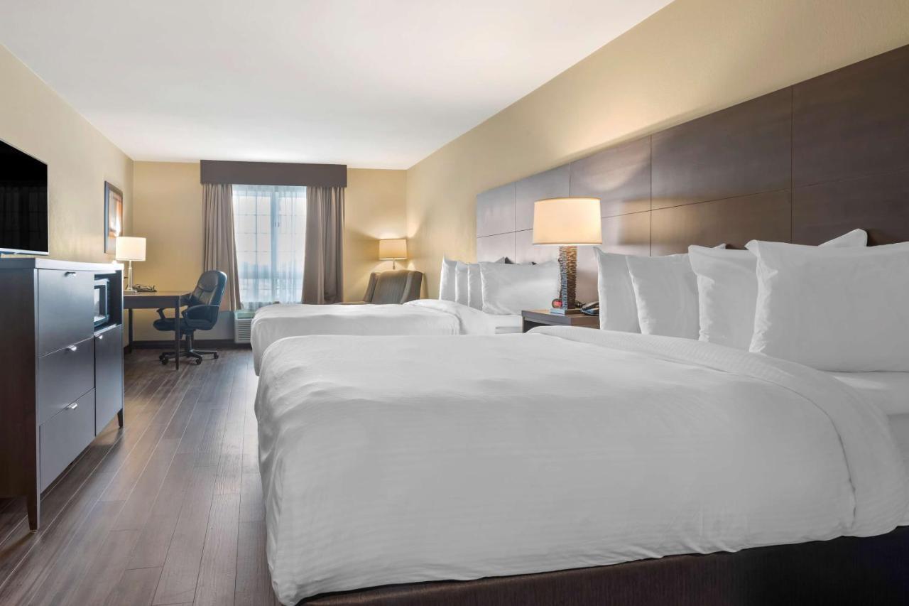 Best Western Plus Saint John Hotel & Suites Eksteriør bilde
